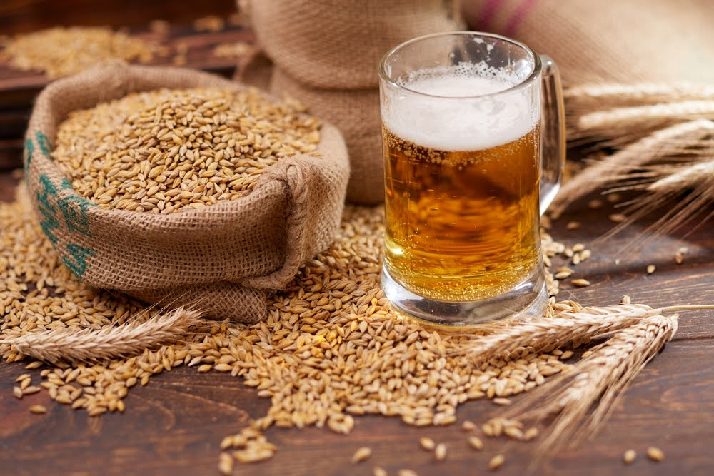 Extracts in Beer Brewing